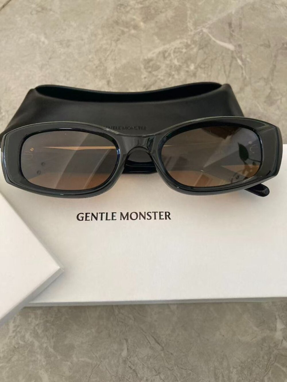 Gentle Monster BALCK BROWN Sunglasses with Black Case